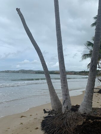 Palmas del Mar Beach-Humacao必去景点