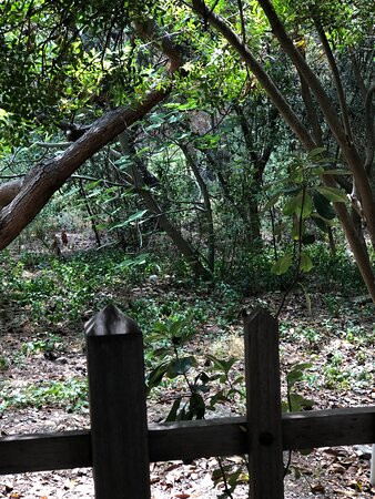 The Gardens Gallery Hotel主图