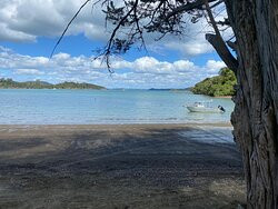 Bay of Islands Water Taxi景点图片