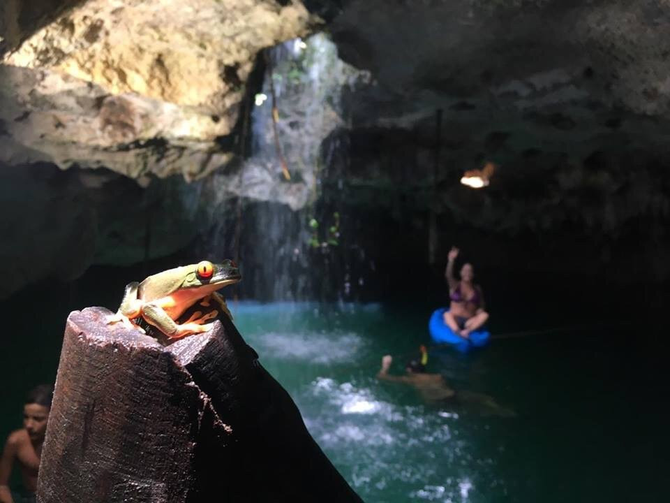 Cenote Elvira - Nature Sanctuary