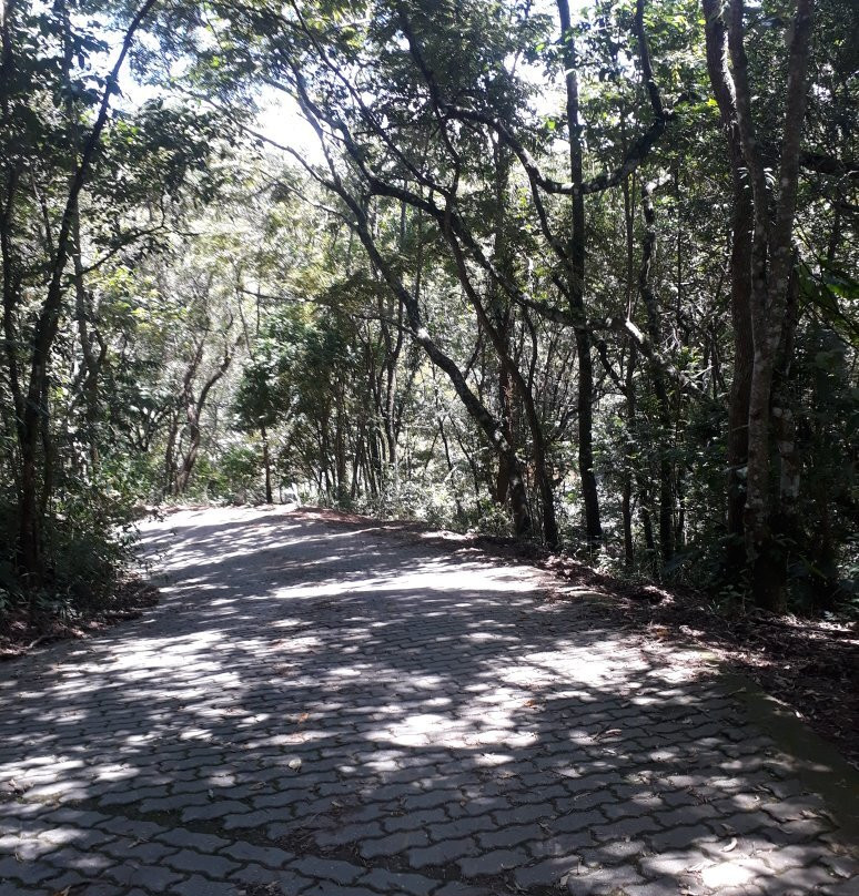 Cachoeira do Pimenta-Cunha必去景点