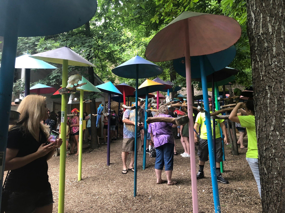 Parrot Mountain & Gardens-皮金福奇必去景点