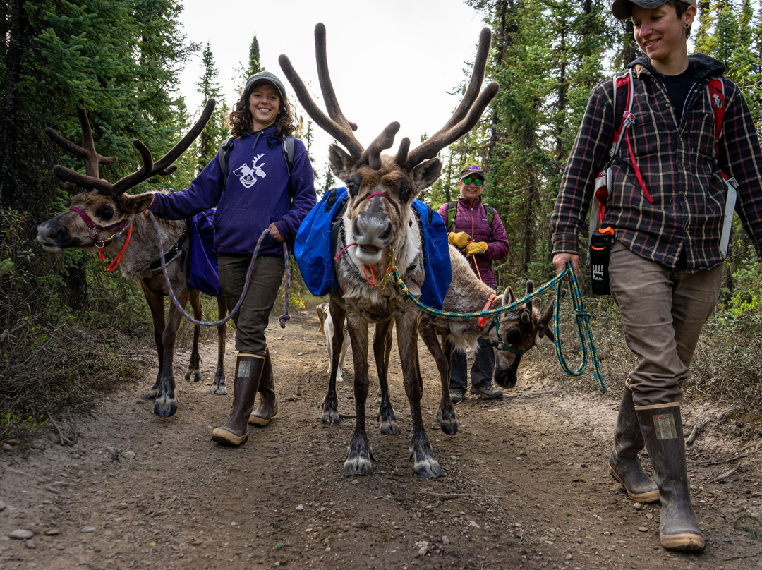 Chena Outdoor Collective-费尔班克斯必去景点
