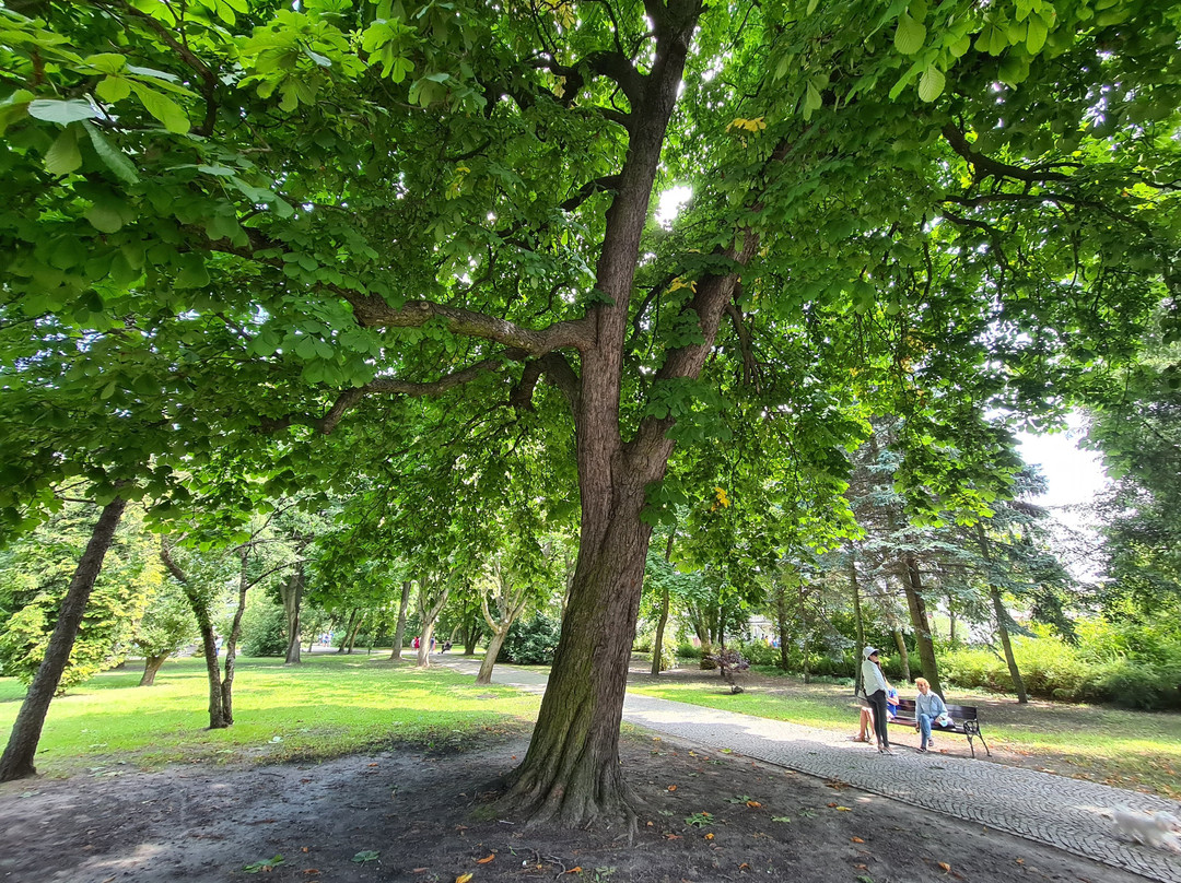 Park Zdrojowy景点图片