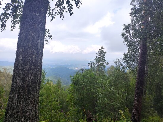Altai Green Park Hotel-官方