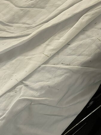 Best Western Plus Lee's Summit Hotel & Suites主图