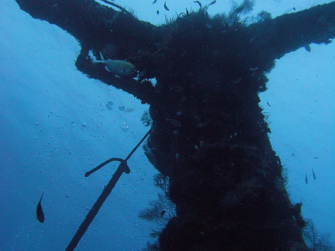 Dressel Divers Playa Del Carmen景点图片