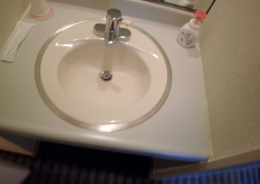 Hotel & Restaurant Reposer Makino