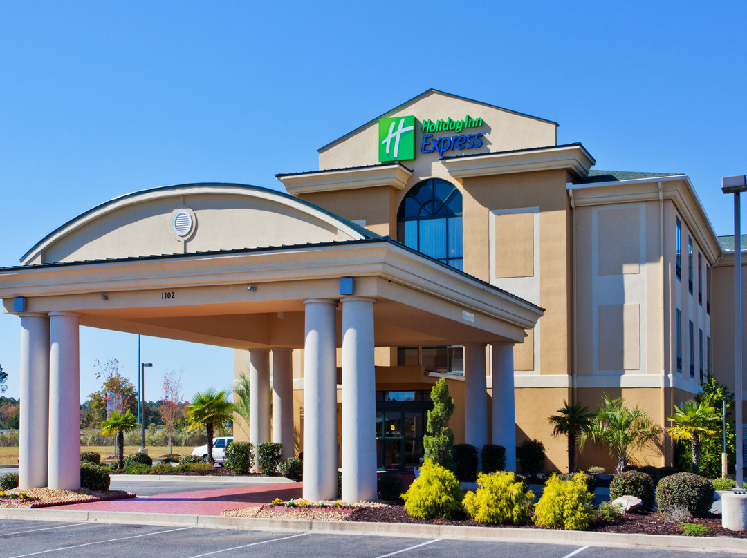 Vienna酒店住宿-Holiday Inn Express & Suites Cordele North By IHG