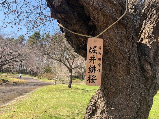 Oniushi Park景点图片