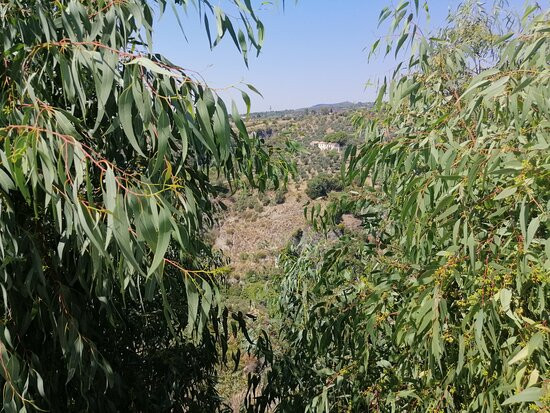 Centro Storico Di Simeri-Simeri Crichi必去景点