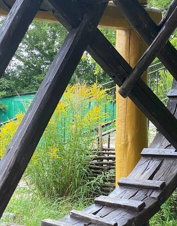 Volga Embankment-Gorodets必去景点