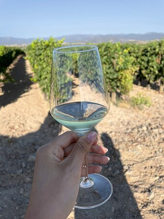 Argiolas Winery-Serdiana必去景点
