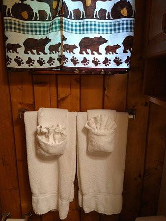 The Wells Cashiers主图