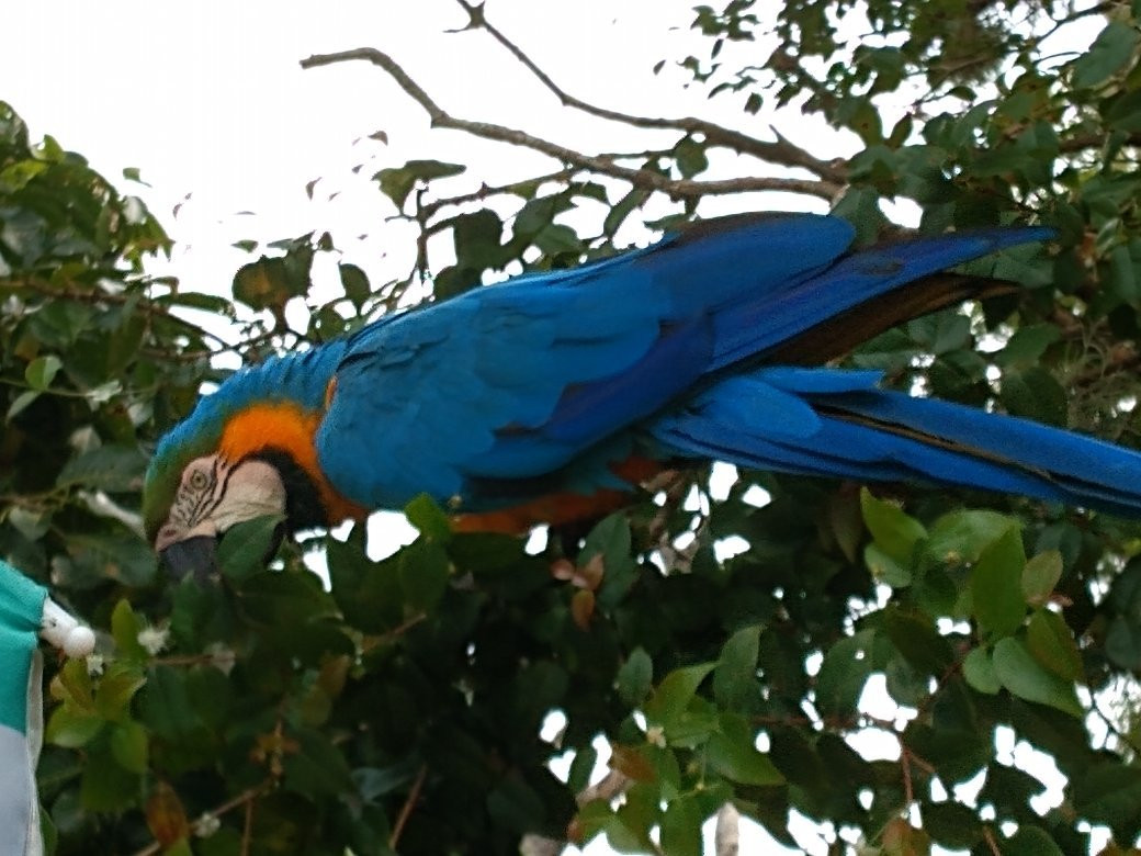 Pousada Sitio Dos Tucanos主图