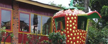 Pondok Strawberry