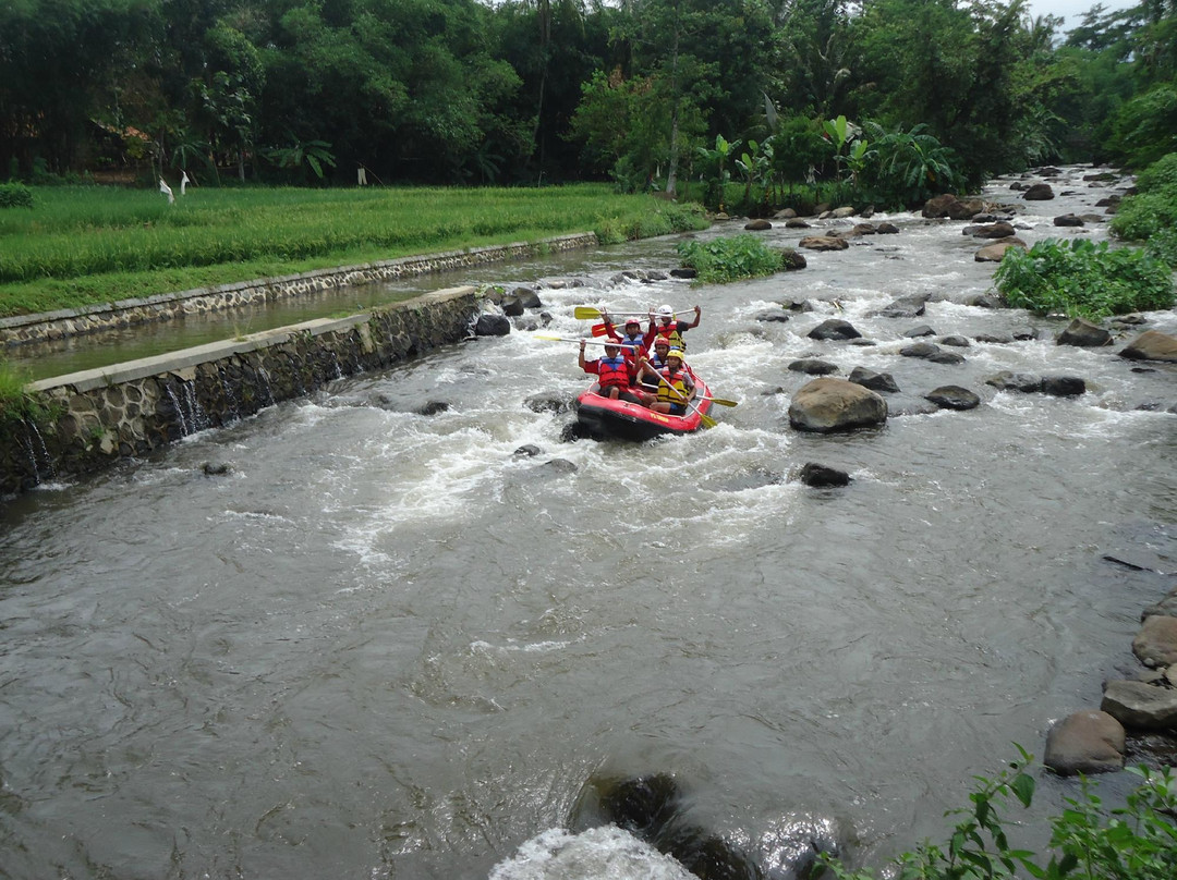 Pemalang Rafting (Rafting Rompang River)景点图片