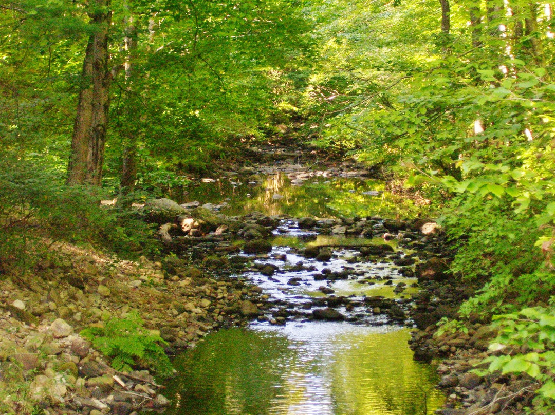 Killingworth旅游攻略图片