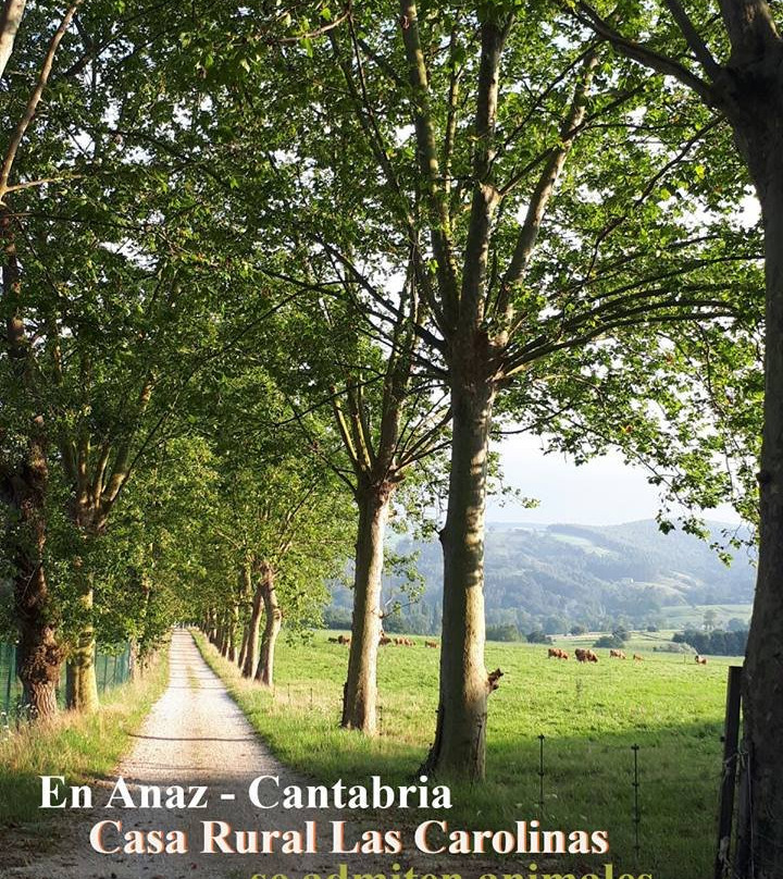 Medio Cudeyo旅游攻略图片