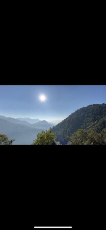 Nest And Hives主图