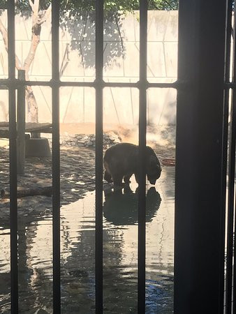 Roosevelt Park Zoo-Minot必去景点