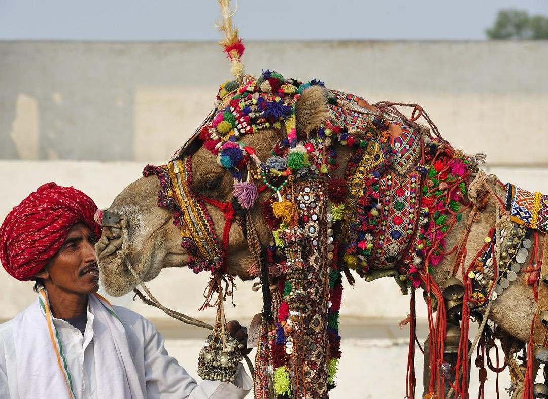 Rajasthan Tour Planner-斋蒲尔必去景点