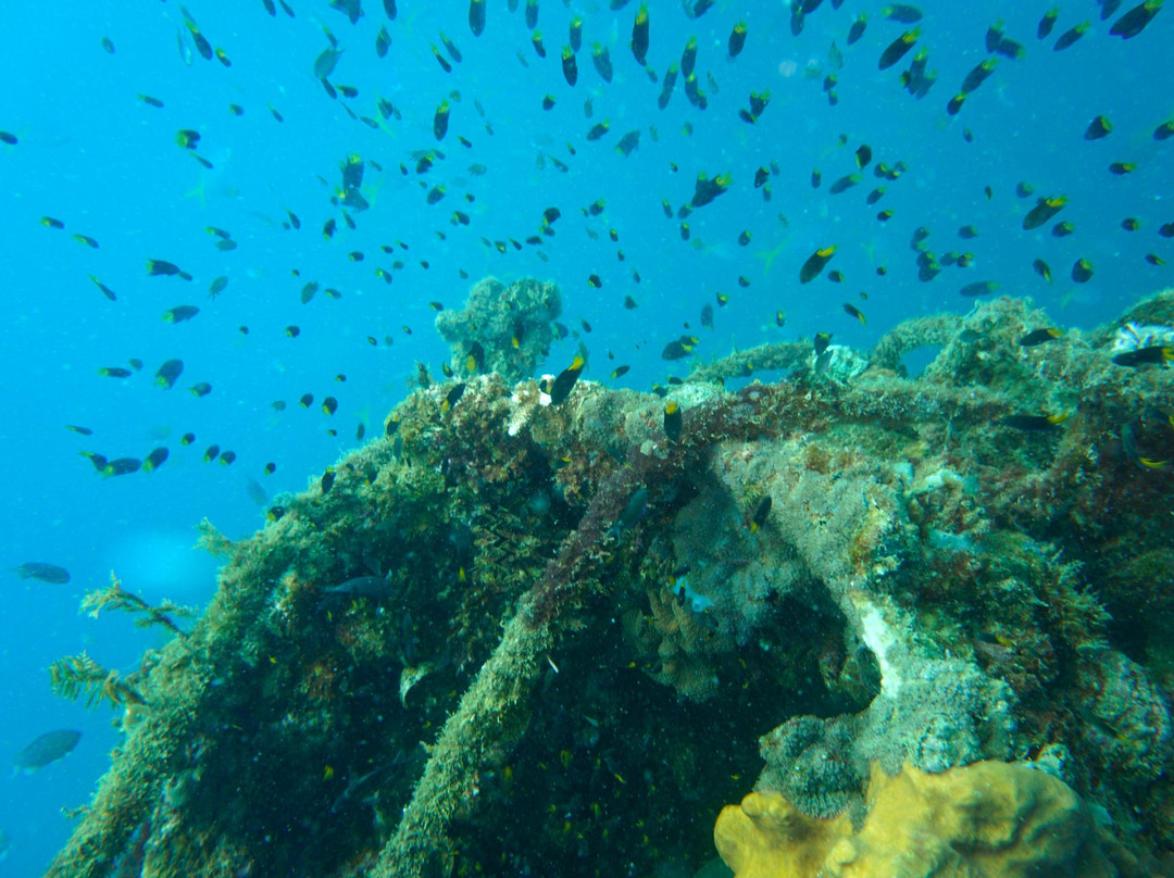 Sunken Japanese Wrecks景点图片