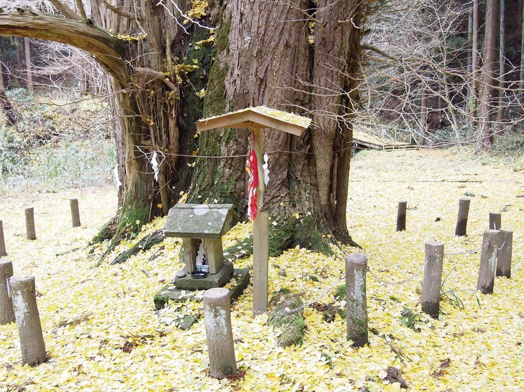 Ichozan Shrine