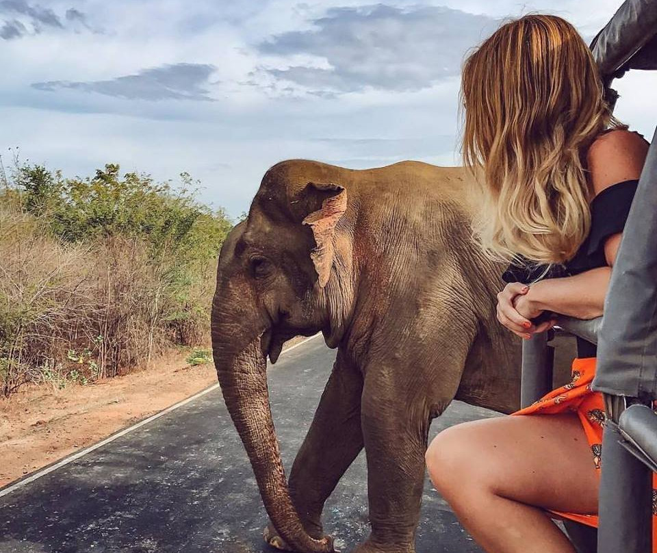 Ceylon Reise ( Travelasia Vacations)