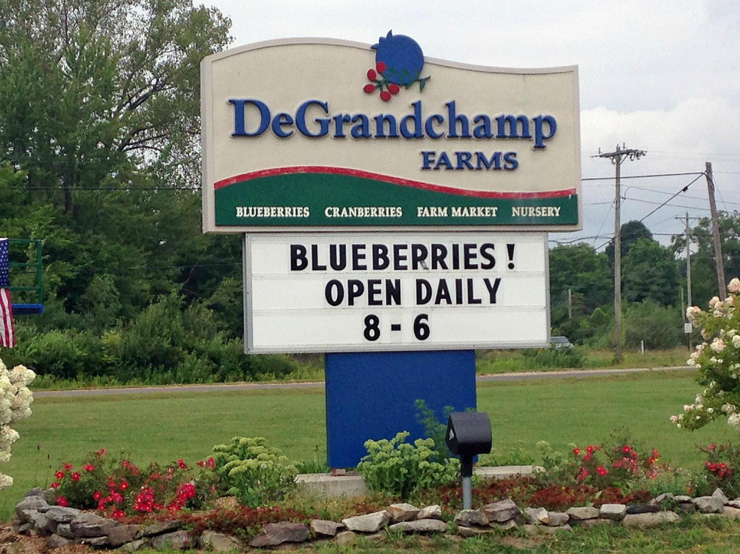 DeGrandchamp Farm景点图片