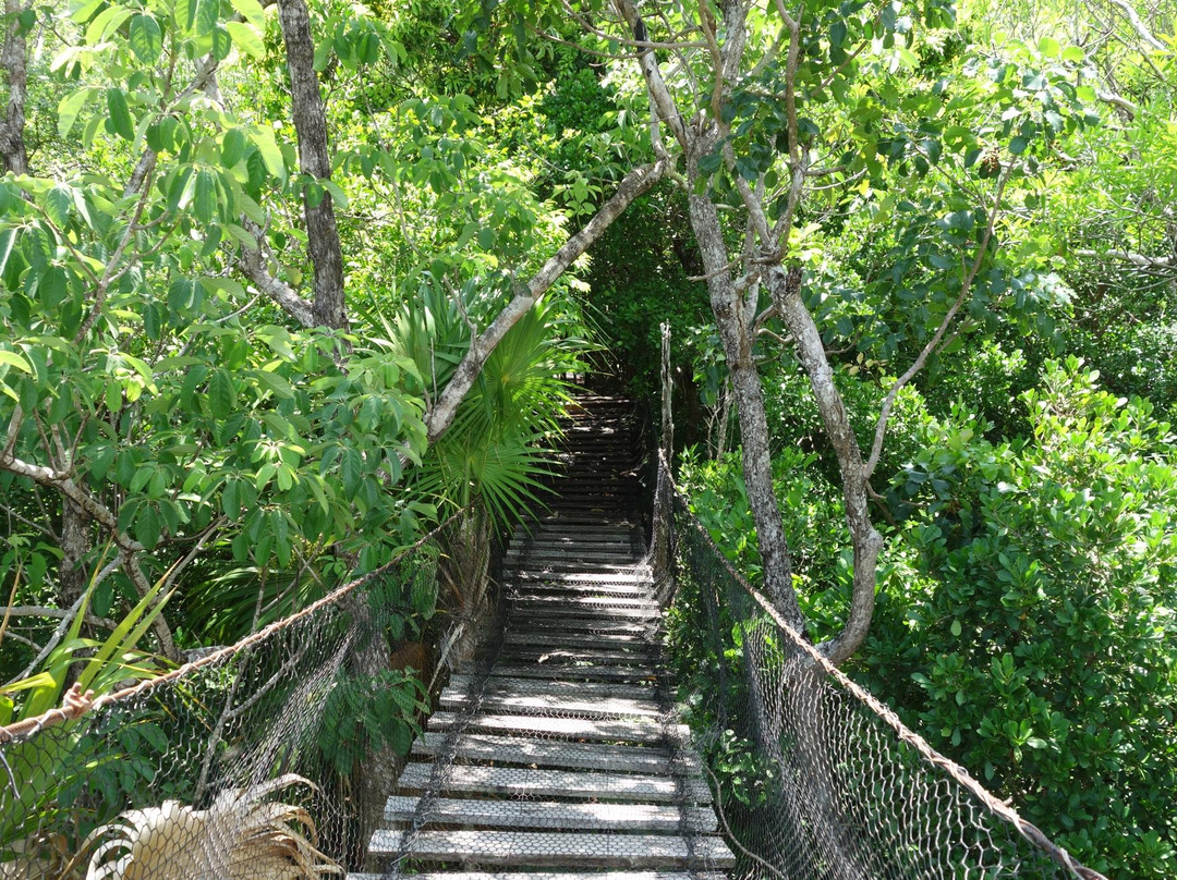 从莫雷洛斯港旅游景点-Jardín Botánico Dr. Alfredo Barrera Marin