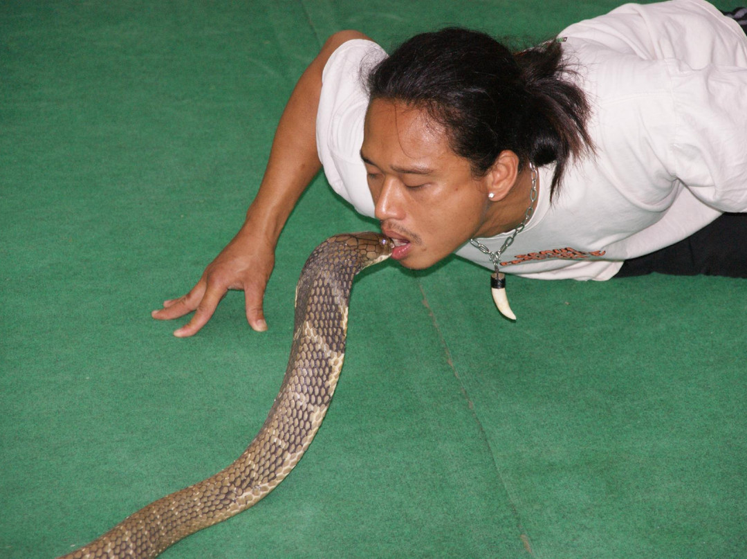 Thong Krut旅游景点-苏梅蛇场