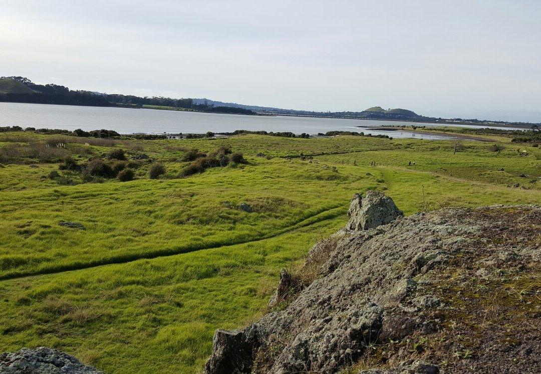 Otuataua Stonefields Reserve景点图片