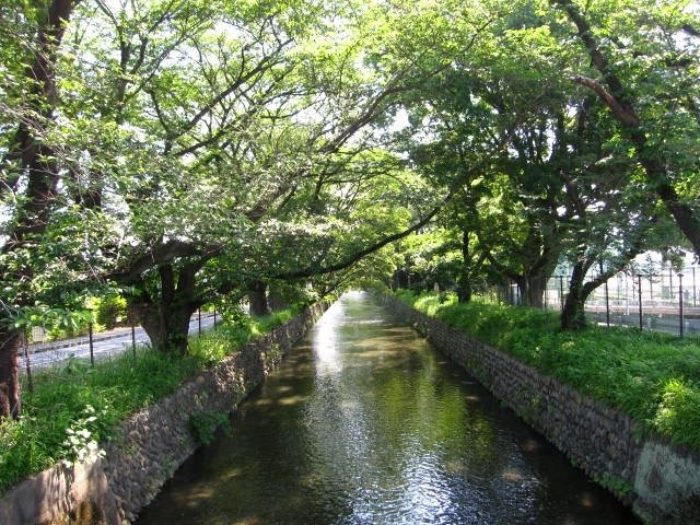 Tamagawa Aqueduct景点图片