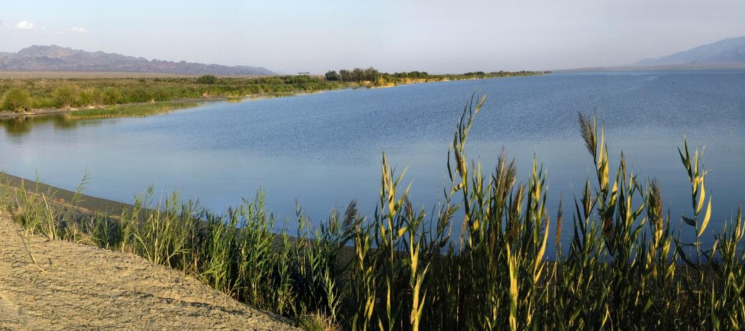 Lake Zhalanashkol景点图片