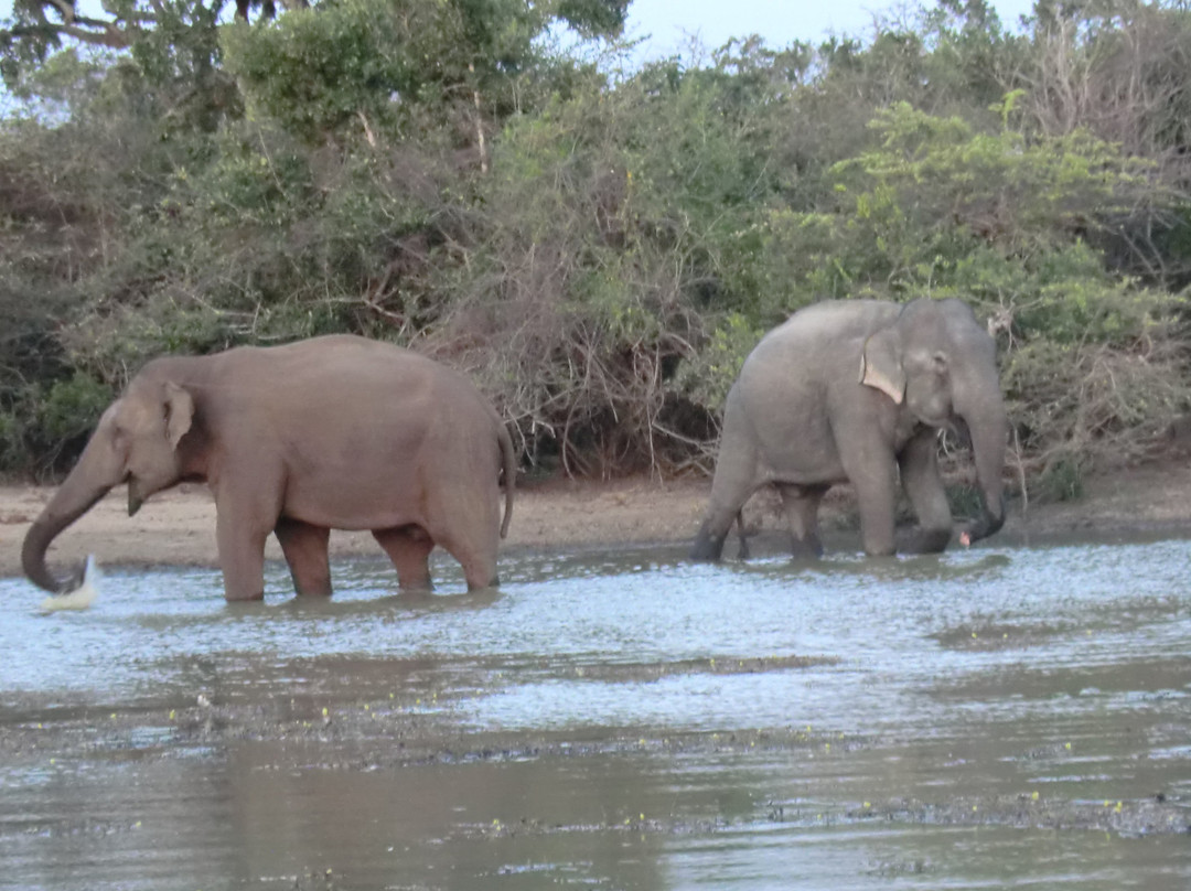 Mowgli Safari-蒂瑟默哈拉默必去景点