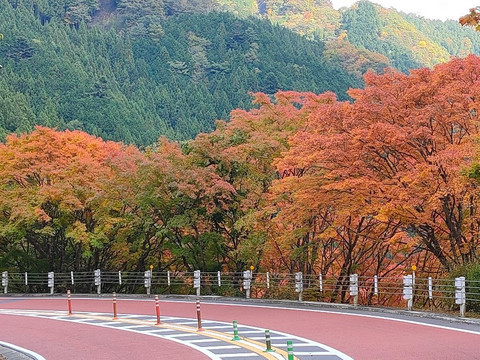 Okutama Shuyu Road