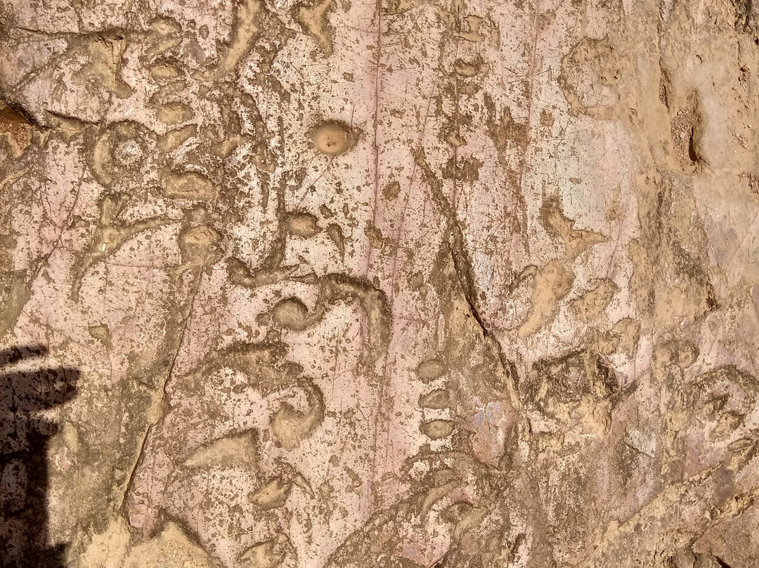 Shankhalipi Inscriptions景点图片