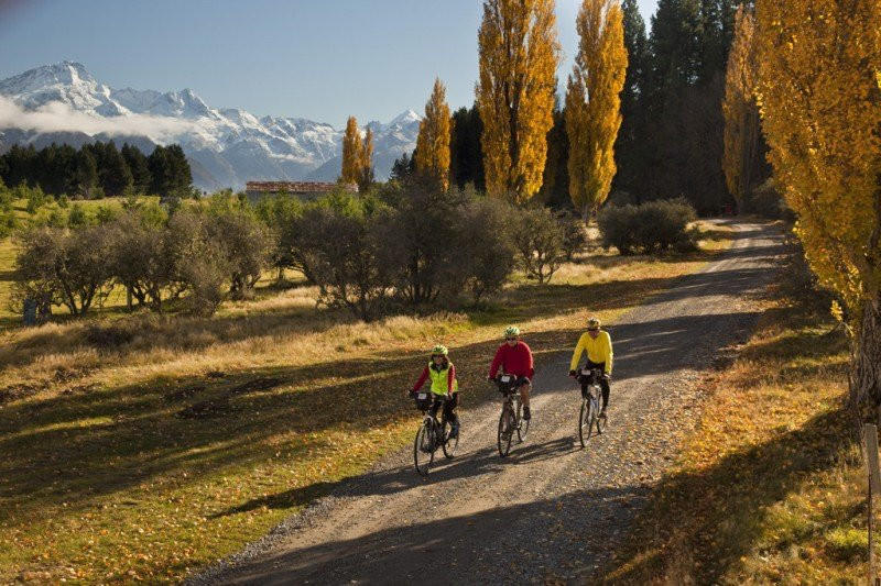 Cycle Journeys Twizel-特威泽尔必去景点