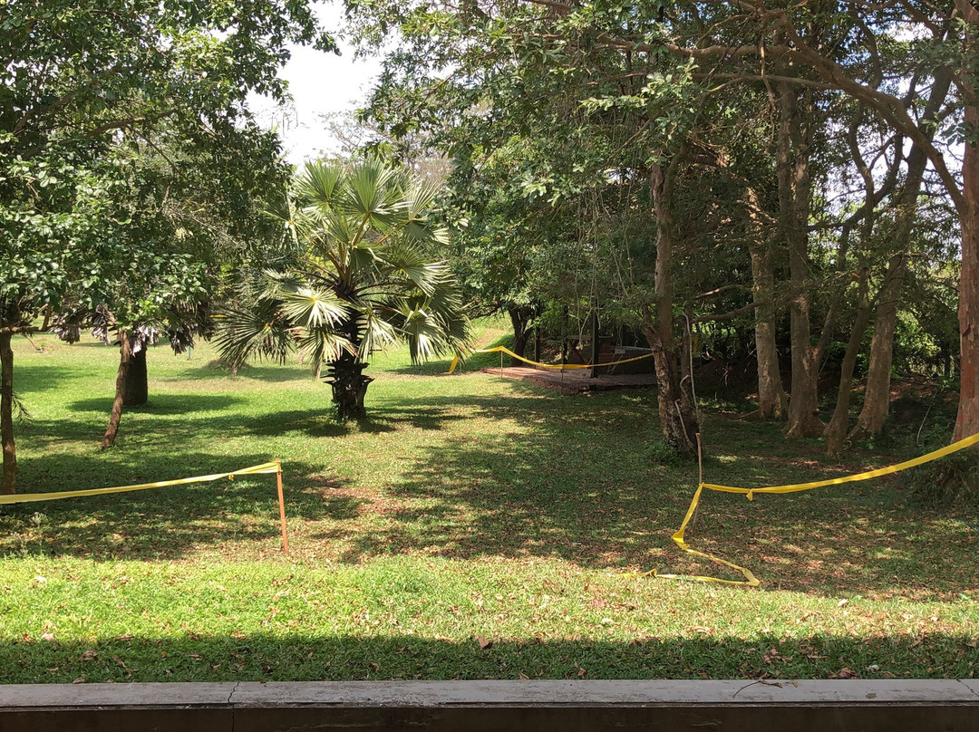 Sigiriya Jungles主图