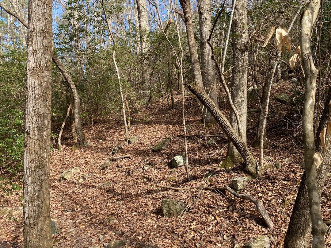 Uwharrie National Forest景点图片