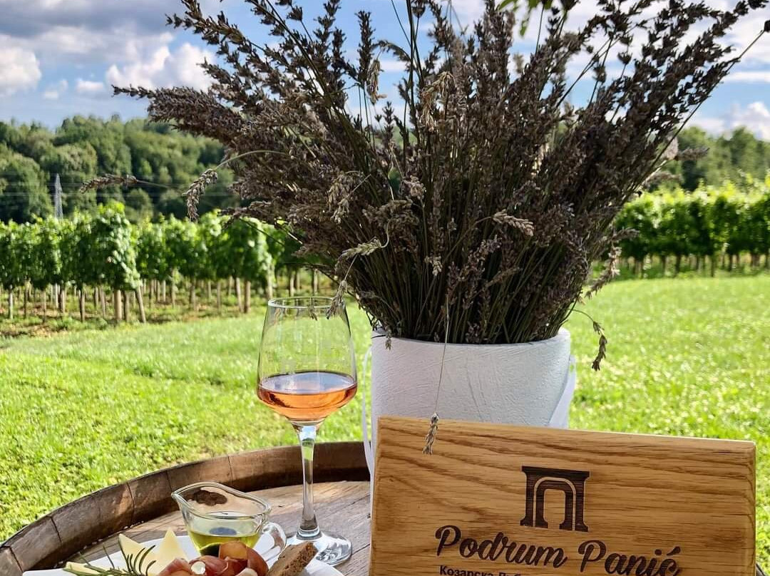 Wine house Podrum Panić-Dubica必去景点