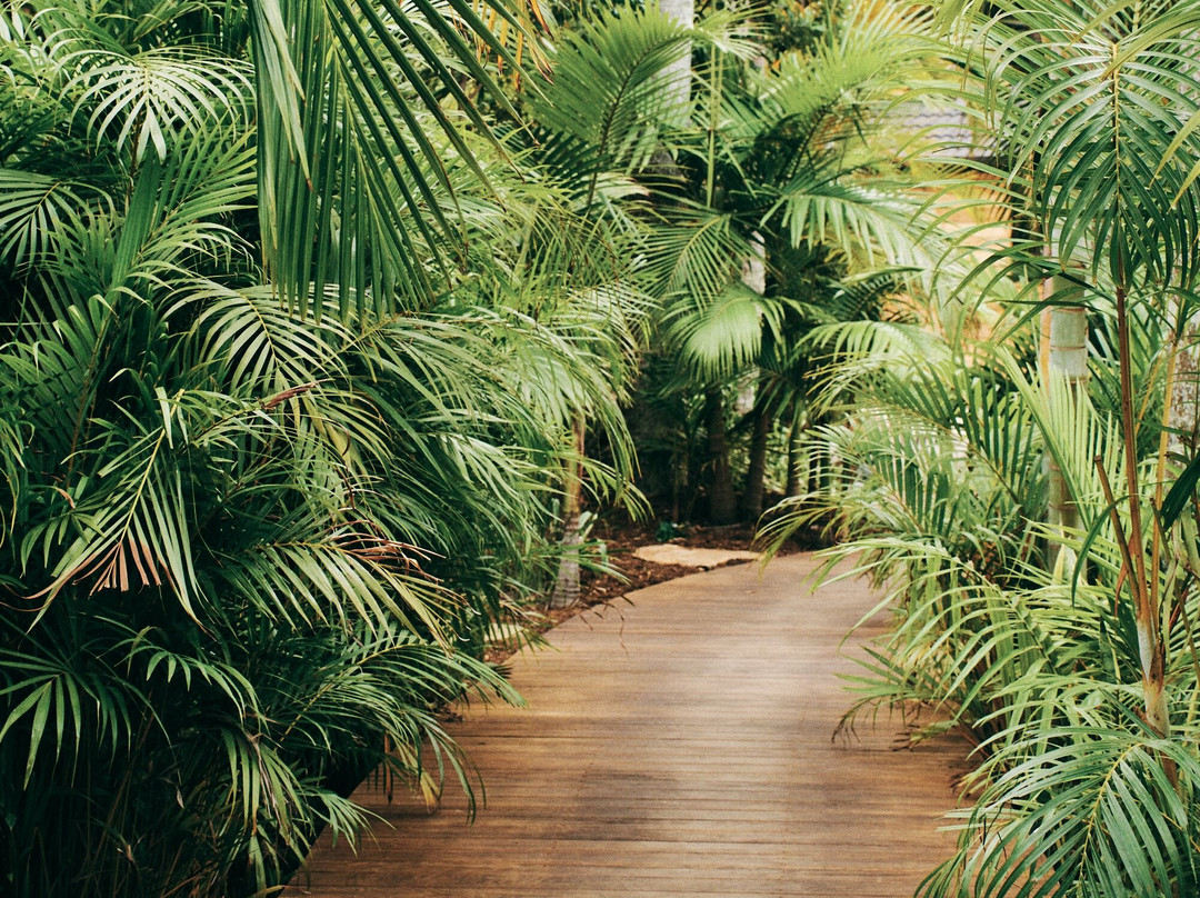 拜伦追日者汽车旅馆主图