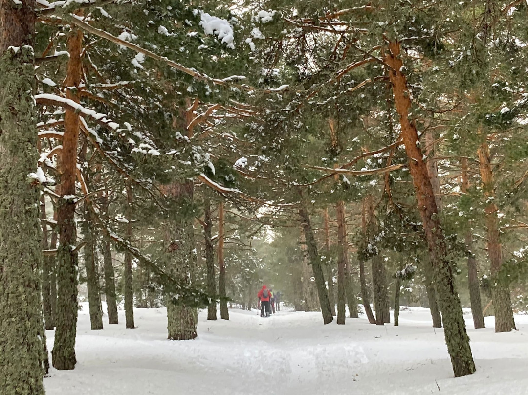 Parque Nacional de la Sierra de Guadarrama-马德里必去景点