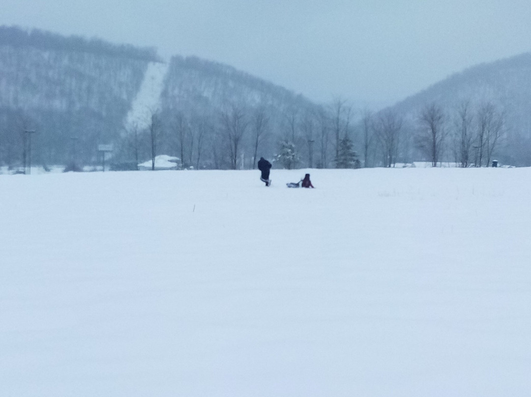 SureStay Plus By Best Western Keyser主图