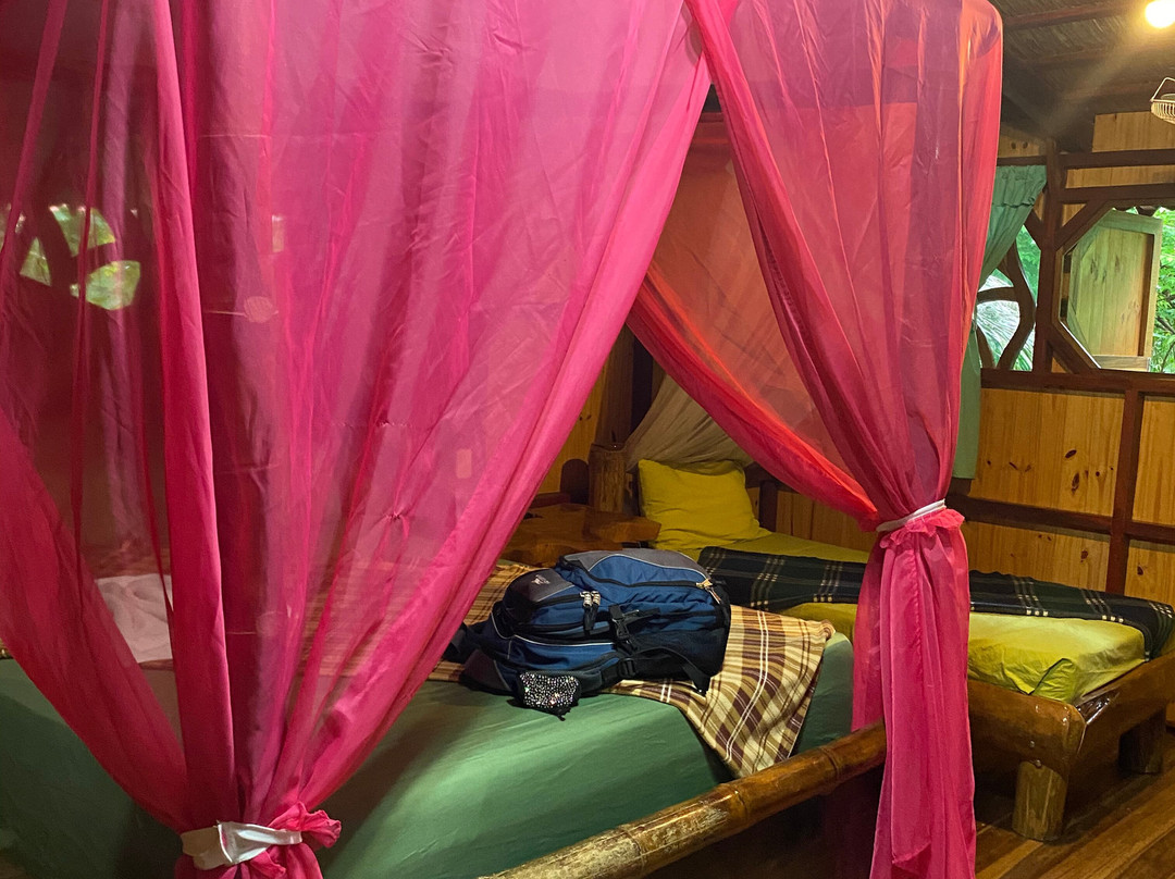 La Costa de Papito主图