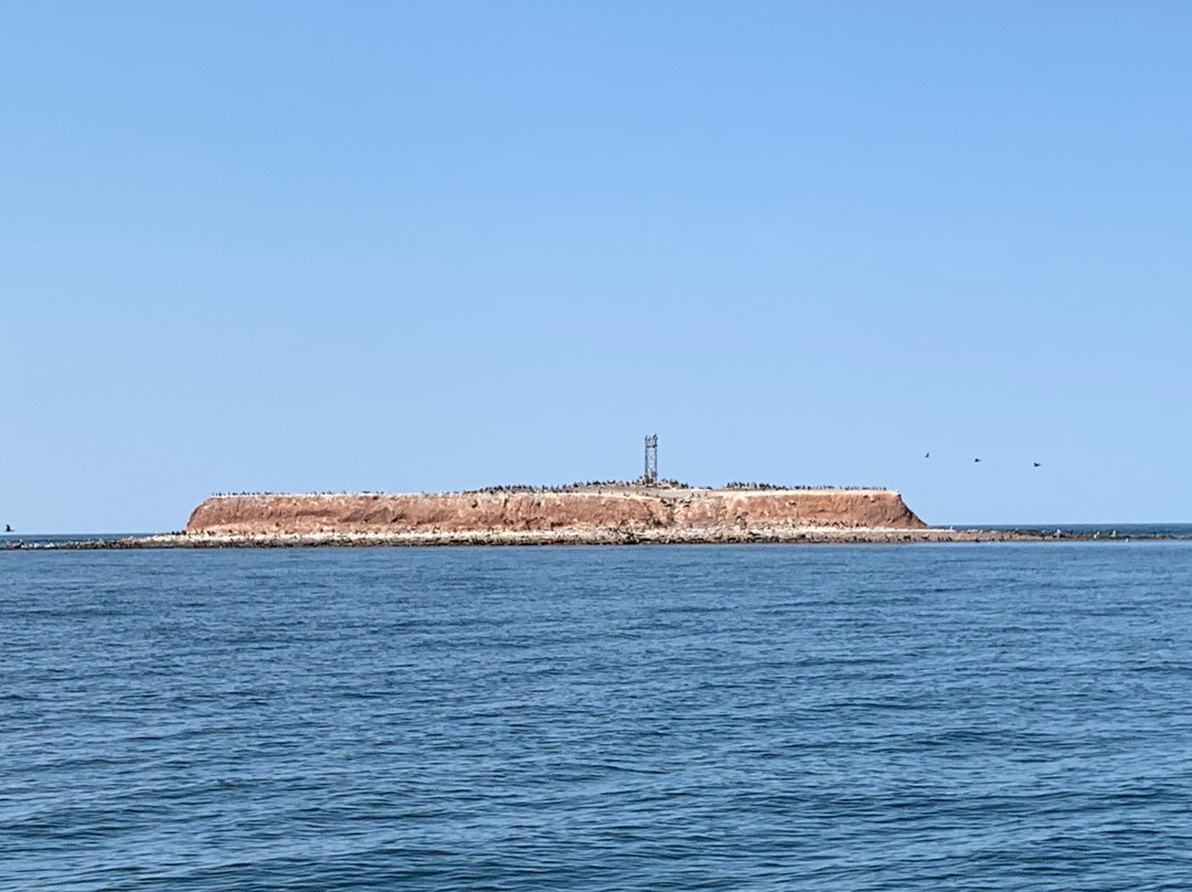 Rudderstick Boat tours-Tatamagouche必去景点