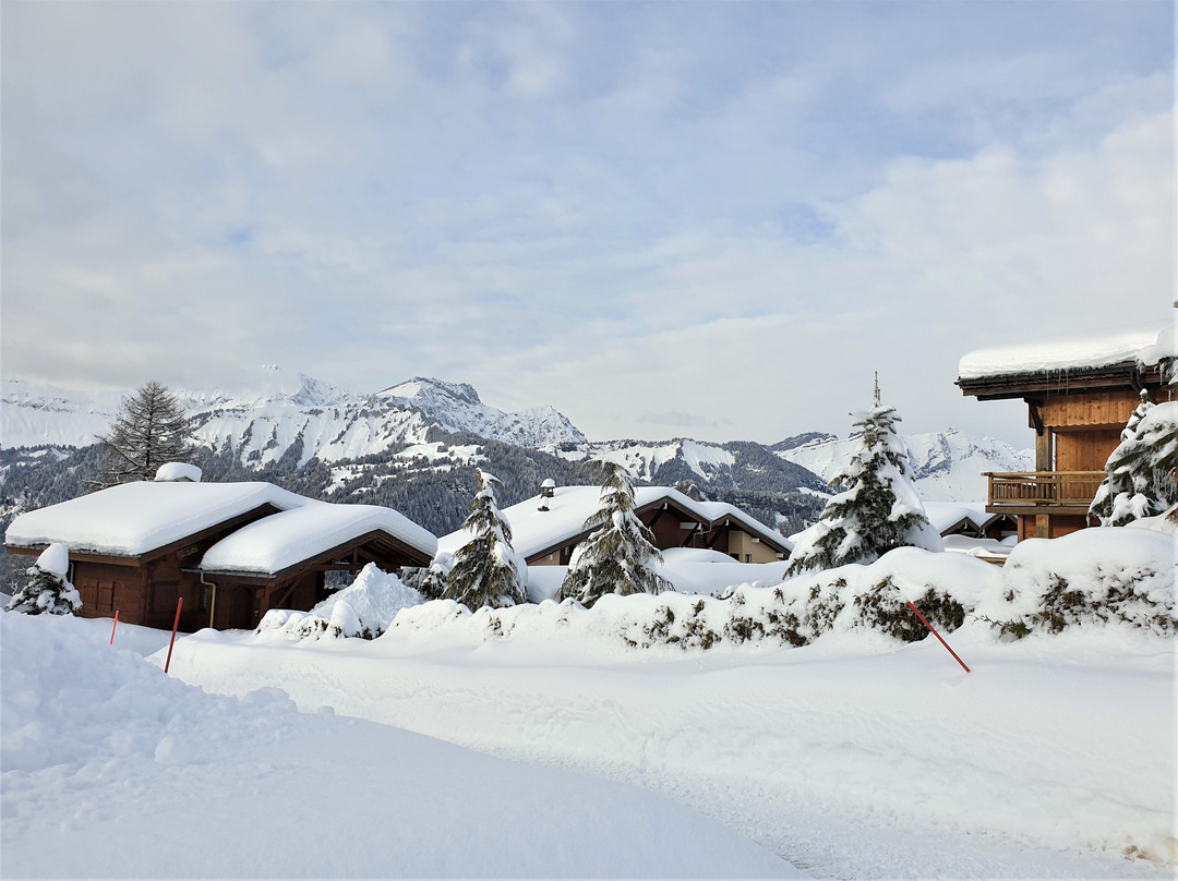 Le Mont Bisanne主图