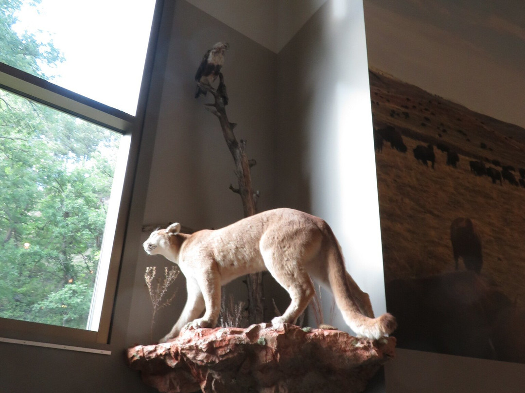 Custer State Park Visitor Center景点图片