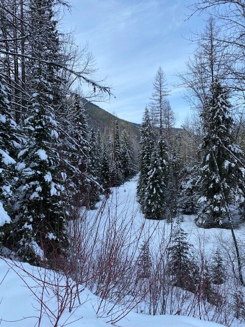 Skiumah Creek Trail-西格拉西尔必去景点